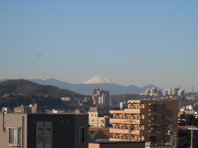�z�e�����猩����x�m�R
